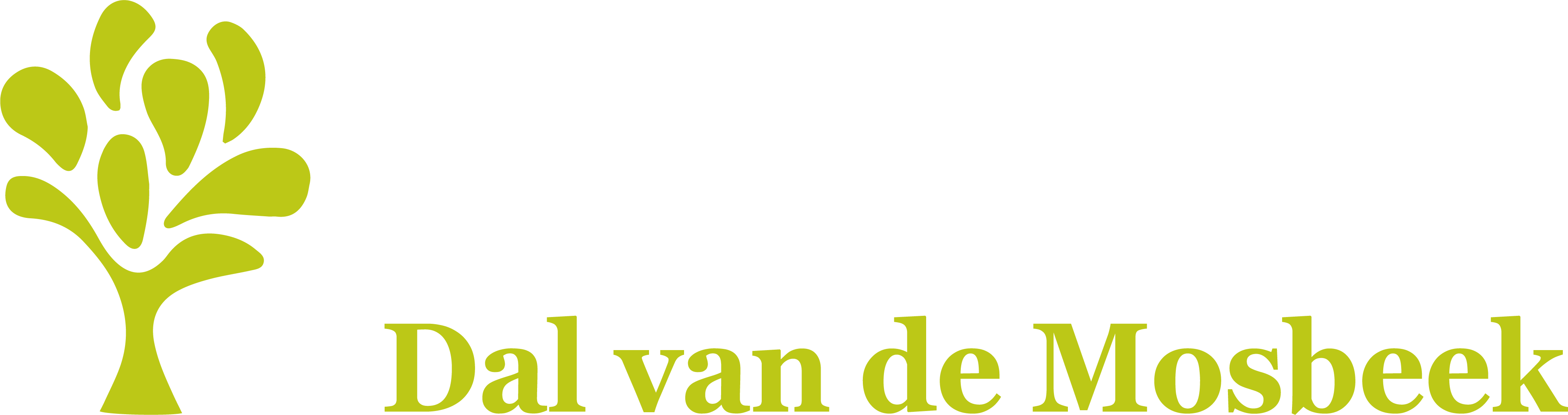 Camping in Twente